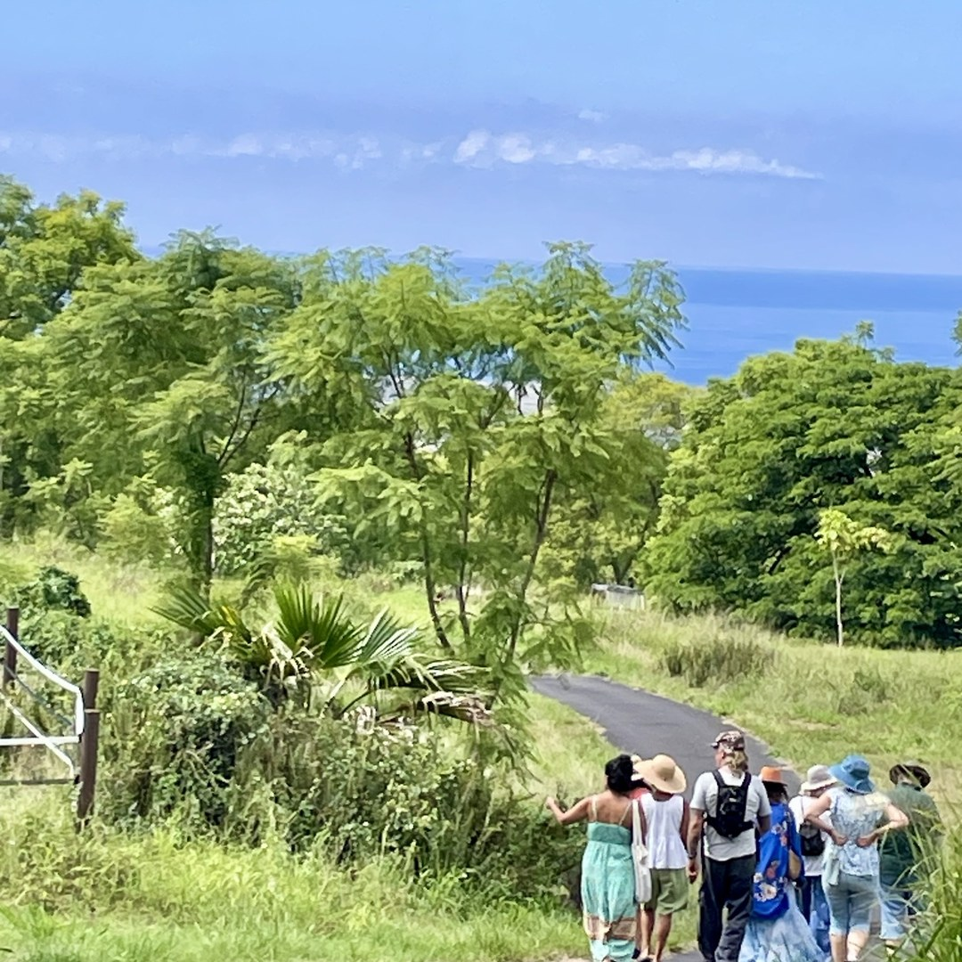 Visitors walking a path at Joseph Rock Arboretum toward the ocean view